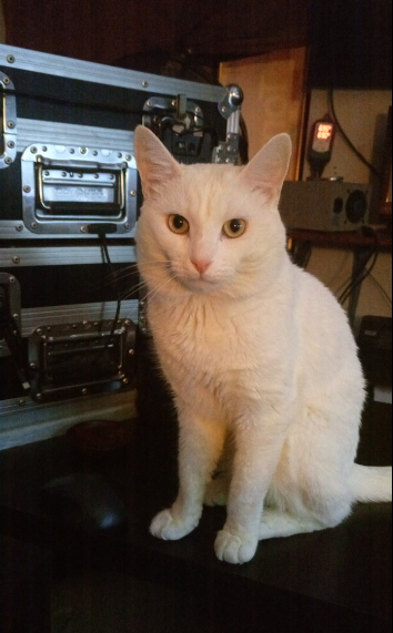 Chambre à Partager - Photo 7