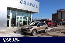 2020 Ford Escape S FWD