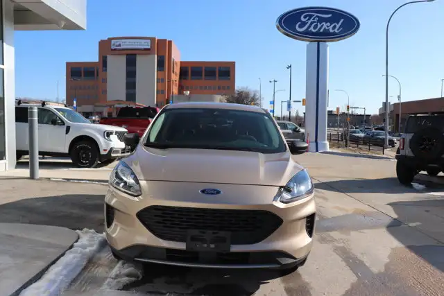 2020 Ford Escape S FWD - Photo 2