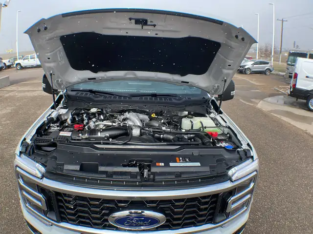 2026 Ford Super Duty F-450 Dually Platinum FX4 773A - Photo 11