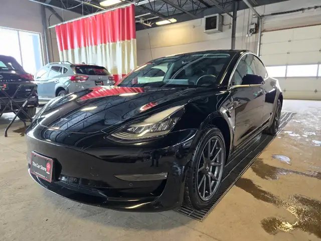 2019 Tesla Model 3 Full Self Driving Package Included!
