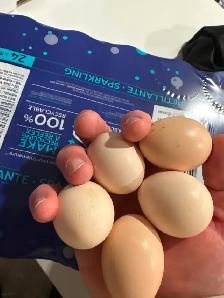 4 Poules soyeuses avec poulailler - Photo 2