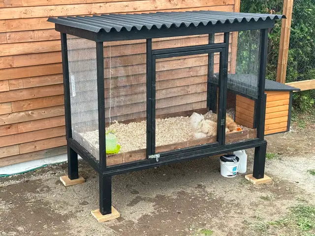 4 Poules soyeuses avec poulailler - Photo 6