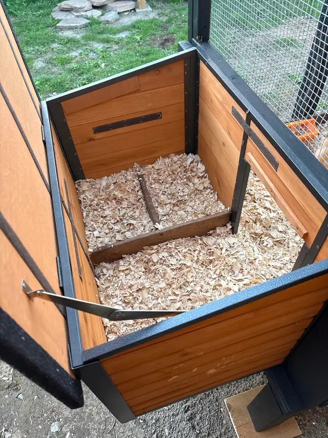 4 Poules soyeuses avec poulailler - Photo 8