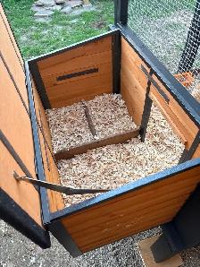 4 Poules soyeuses avec poulailler - Photo 8