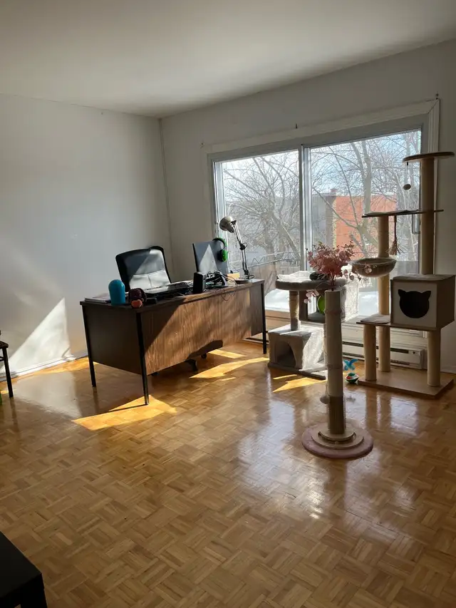 Lasalle 4 1/2 upper - Photo 5