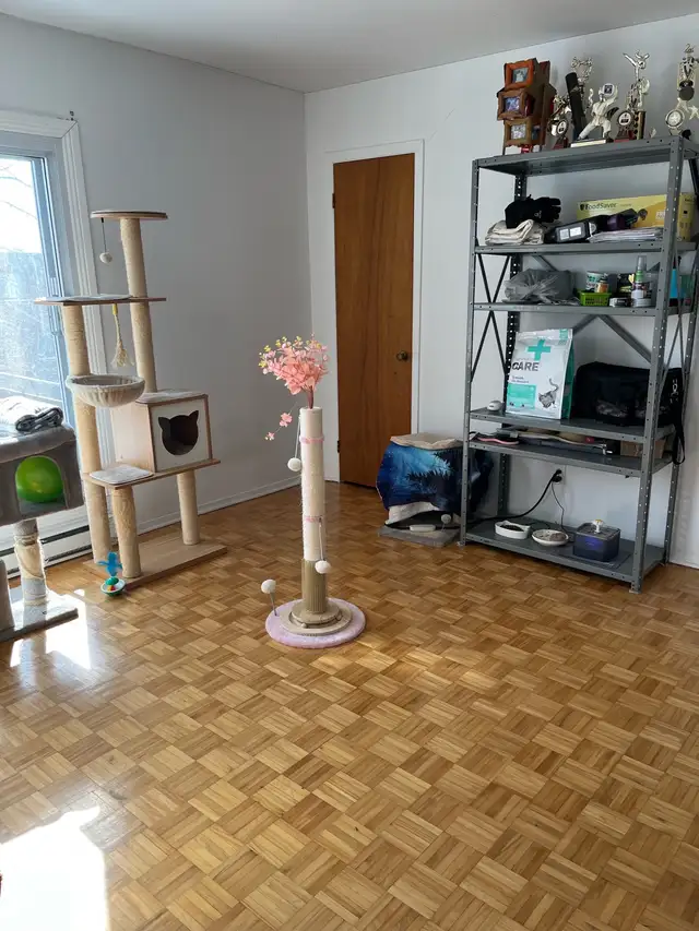 Lasalle 4 1/2 upper - Photo 6