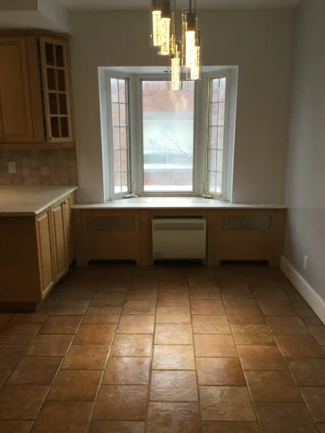 GRAND 5 ET DEMI. RUE PIERRE TÉTREAULT. COUR. PREMIER ÉTAGE - Photo 3