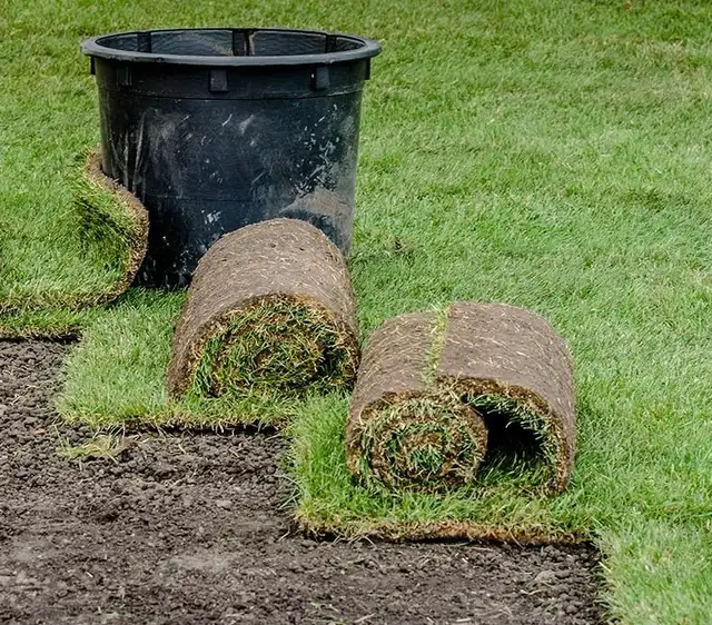 construction services Inter Lock driveways - Photo 3