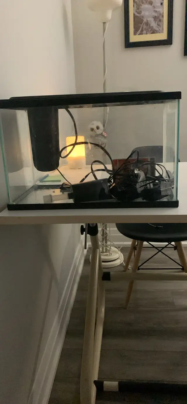 2 five gallon tanks  for sale: one is new in box