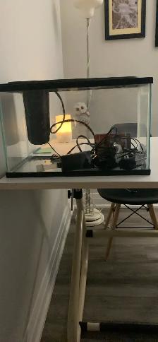 2 five gallon tanks  for sale: one is new in box