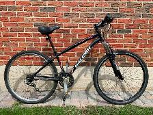 Raleigh Mountain Bike