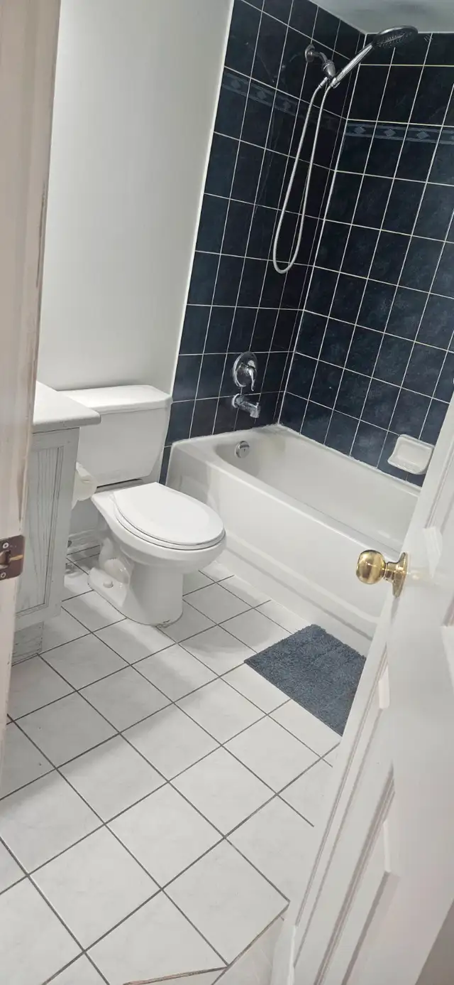 Walkout basement Brampton - Photo 9