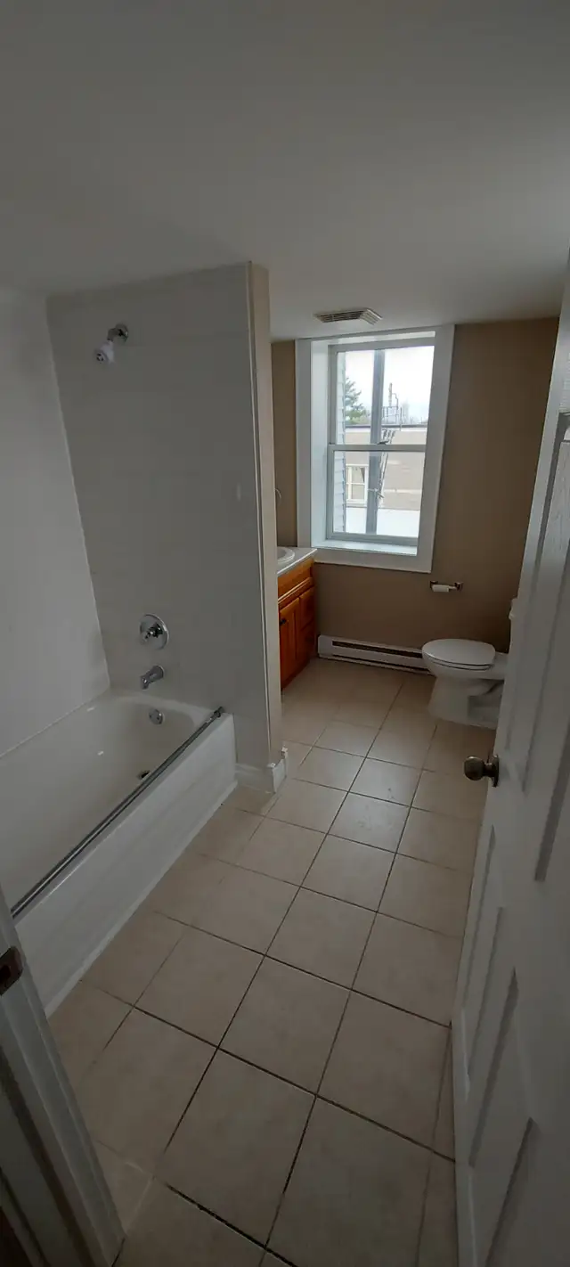 Gravenhurst Stylish 1 bedroom Loft Apartment - Photo 4