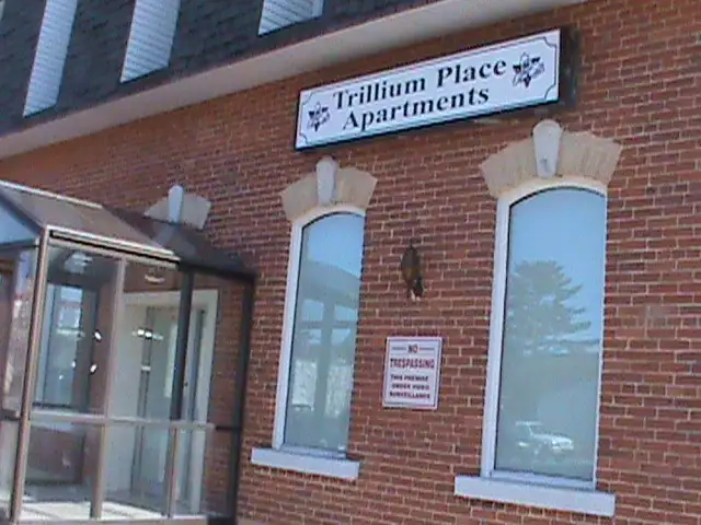 Gravenhurst Stylish 1 bedroom Loft Apartment - Photo 5