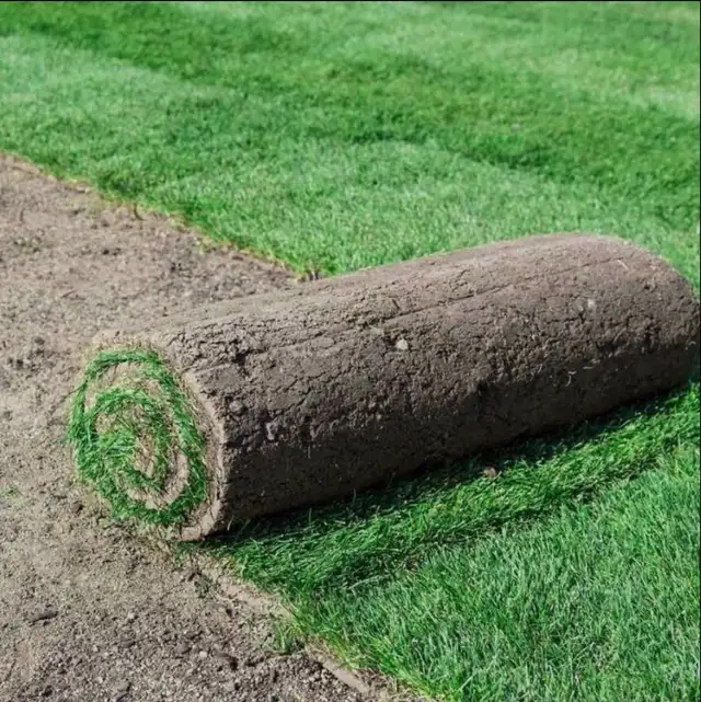 Interlocking and sod  installation - Photo 6