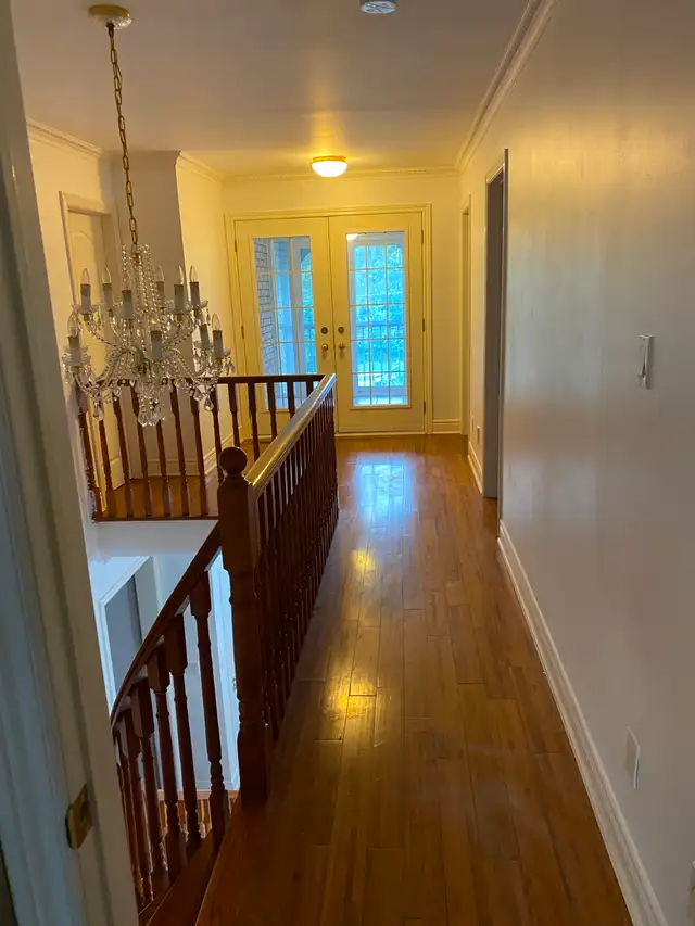 ROOM FOR RENT - $800 - Albion / Islington - FEMALE ONLY - May 1 - Photo 3