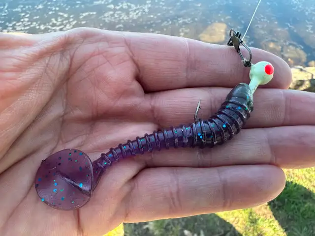 3.3' Swimbait Paddle Tail Ribbed for Pike, Pickeral and Bass - Photo 2