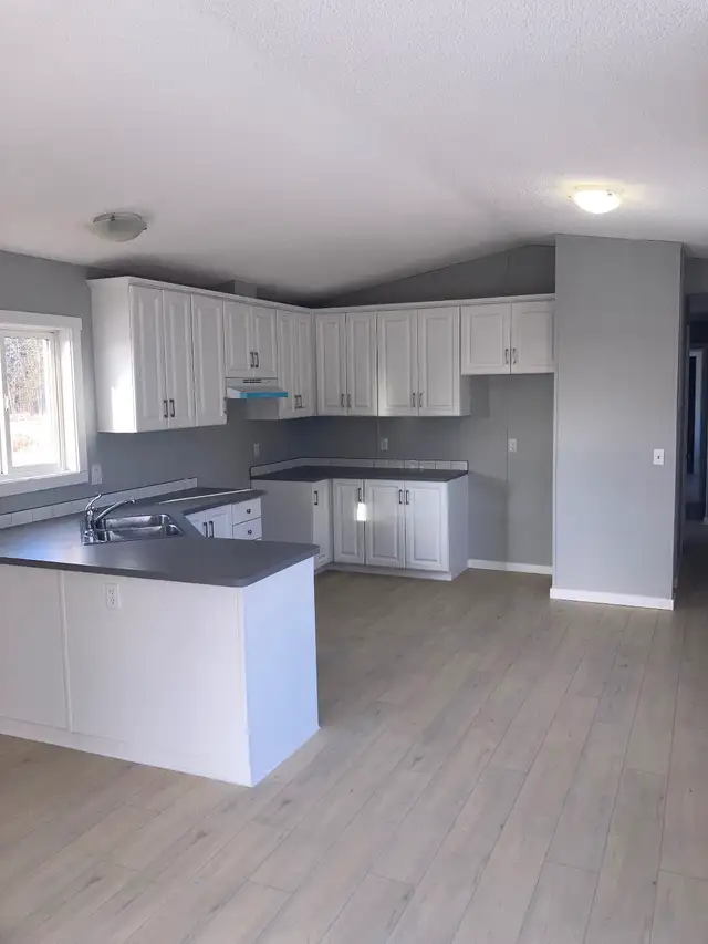 MOBILE HOMES 16 WIDES DELIVERY & BLOCKING INCLUDED - Photo 3