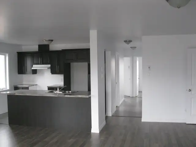 GRAND 5 1/2 À LOUER POUR 1ER JUILLET - Photo 3