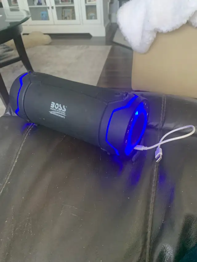 BOSS BLUETOOTH WEATHER PROOF AUDIO SYSTEM - Photo 2