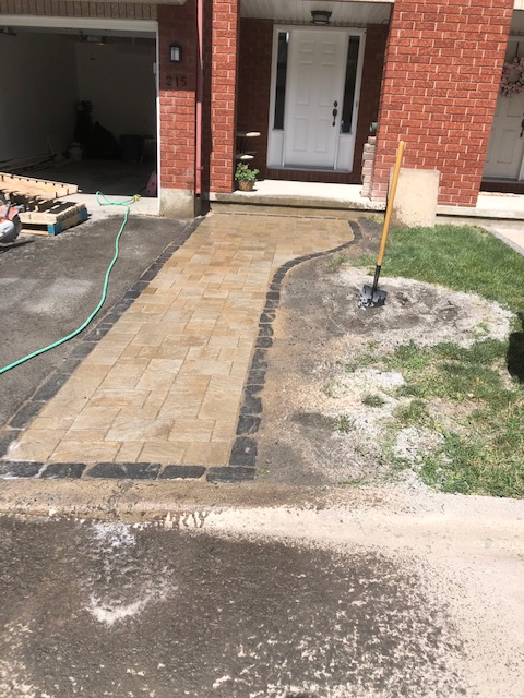 Hedges (near College Square) - Photo 5