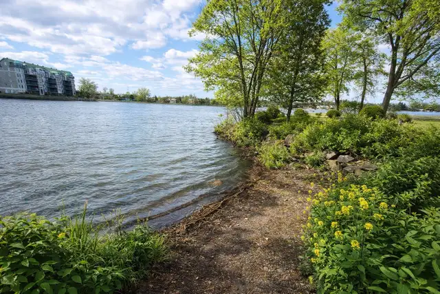 NEW 3-Bedroom | 2 Parking | Internet Included | Near REM - Photo 6