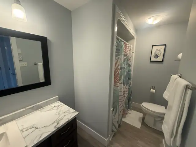 Furnished 2 Bed/2 Bath Apartment in Sydney River - Photo 4