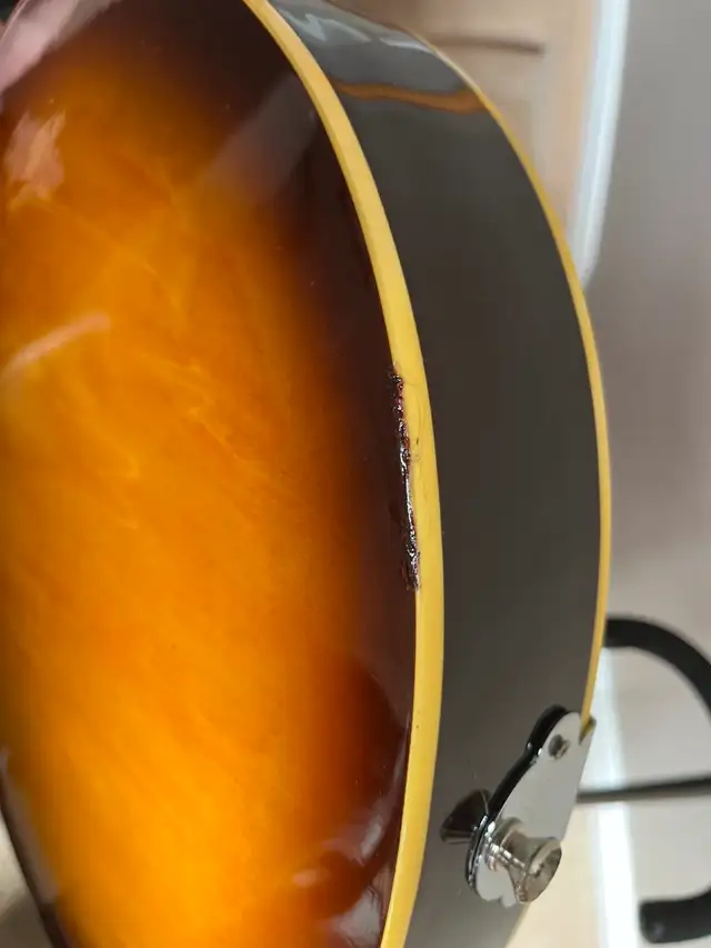 JayTurserJT-134 Semi-hollowbodyelectricguitar-TobaccoSunburst - Photo 5