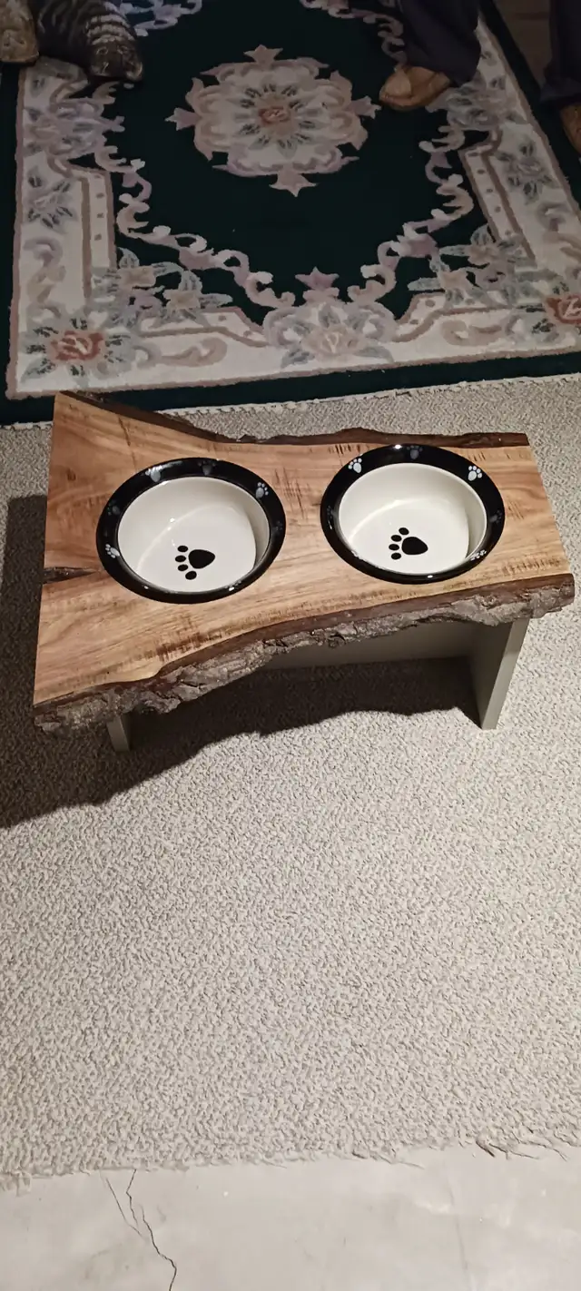 Dog Food Stand - Photo 2