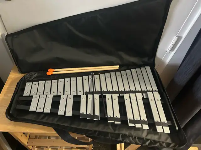 NEW XYLOPHONE GLOCKENSPIEL WITH BACKPACK CARRYING BAG = 37 NOTES - Photo 2