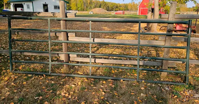 Prairie Panel Gate