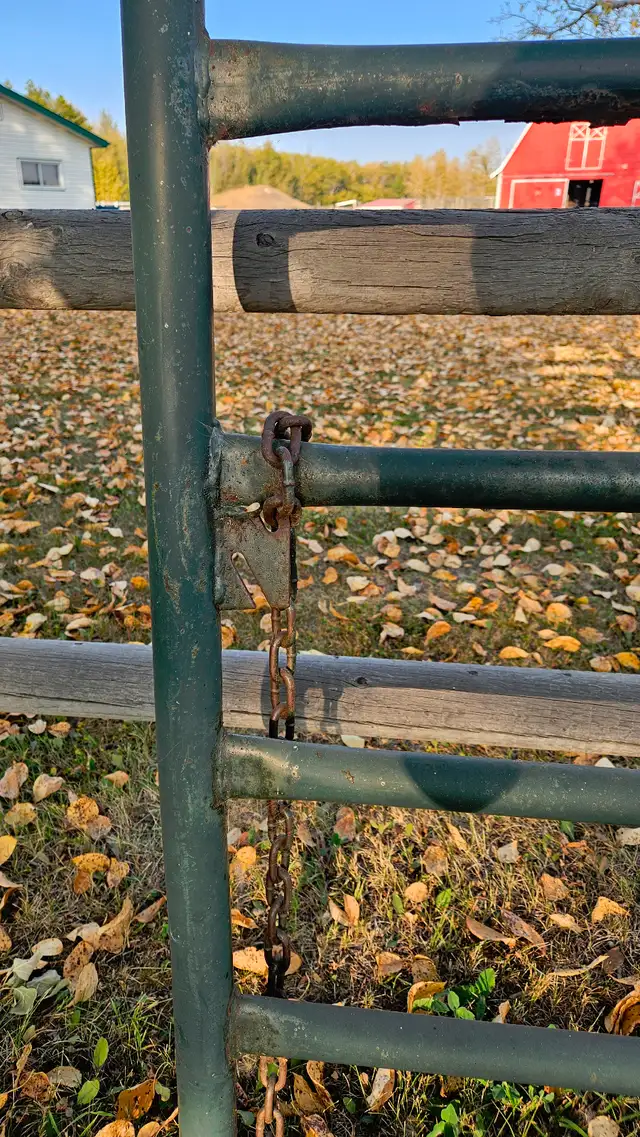 Prairie Panel Gate - Photo 2