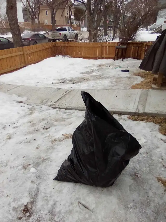 Yard and garden clean up