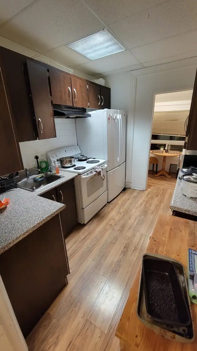 Room for rent in Kensington Market - Photo 5