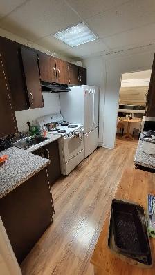 Room for rent in Kensington Market - Photo 5