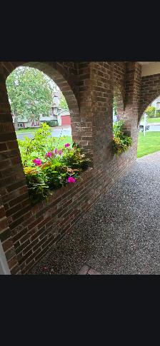 Clayton Park Halifax 4 Bedroom / 4 bathroom newly renovated. - Photo 2