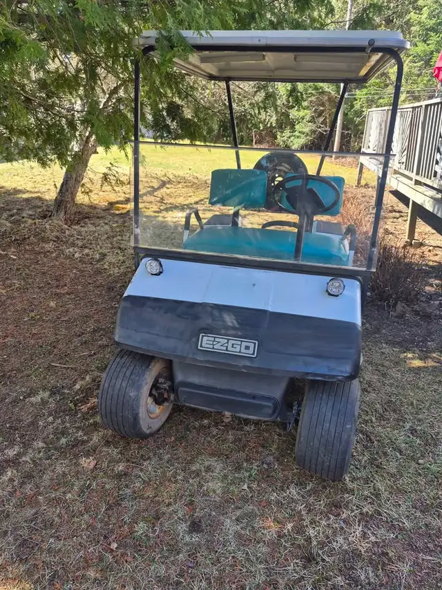 Golf Cart - Photo 2