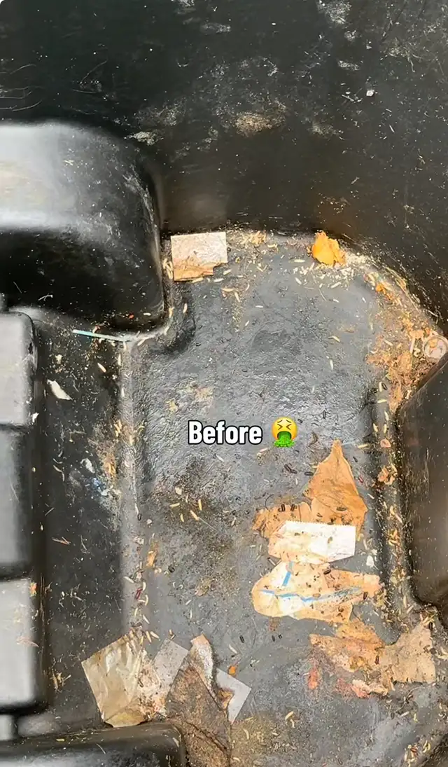 Garbage Bin Cleaning - Photo 2