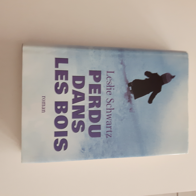 BON ROMAN NEUF DE LESLIE SCHWARTZ PERDU DANS LES BOIS 386PA$5.00 - Photo 3