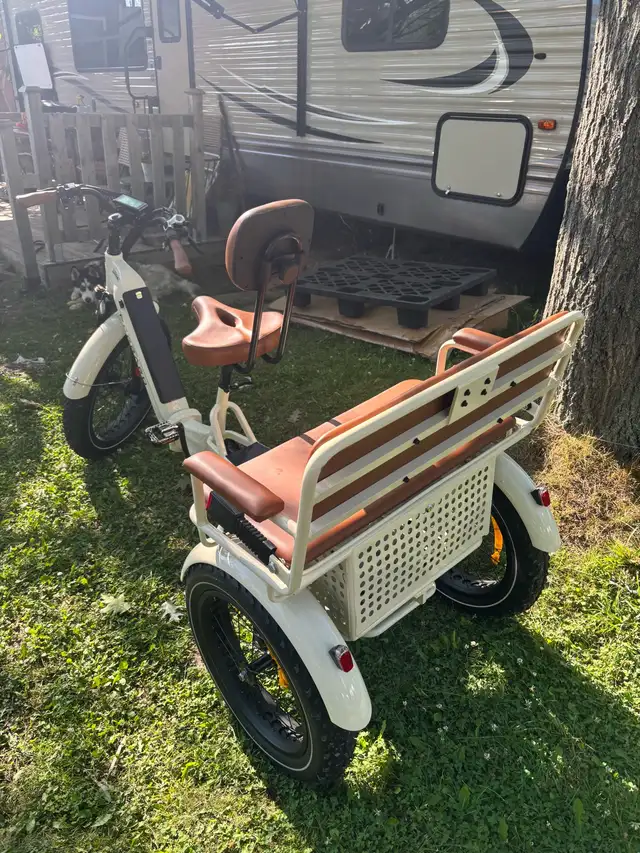 Parrero Ridex Passenger and Cargo e-bike - Photo 6