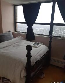 1 Room for Rent in 2 Bedroom Apartment in North York