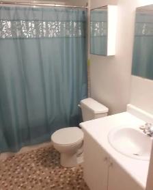 1 Room for Rent in 2 Bedroom Apartment in North York - Photo 3