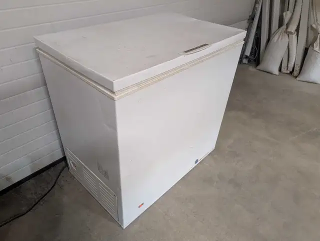 Chest Freezer - Can Deliver - Photo 2