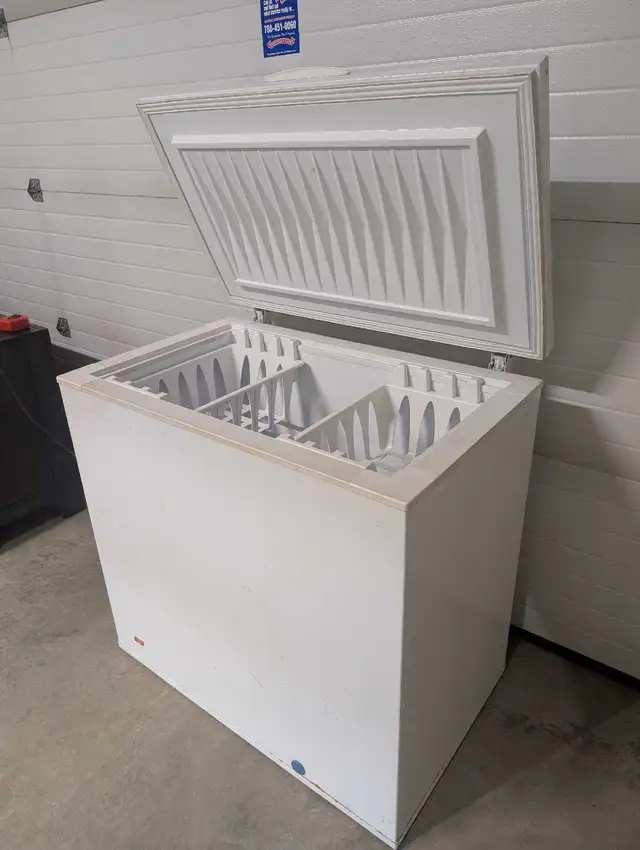 Chest Freezer - Can Deliver - Photo 4