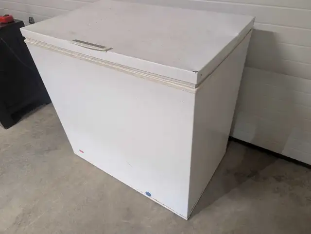 Chest Freezer - Can Deliver - Photo 5