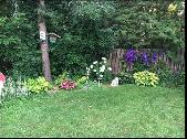 For Rent 3Bedroom Spacious house with private backyard - Photo 11