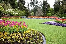 EMK Family Cleaning and  landscaping  services - Photo 3