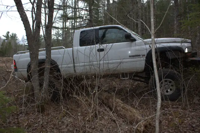 2002 Dodge V10 Magnum 2500 - Photo 2