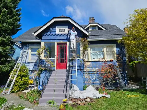Full Time Painter: Summer Position